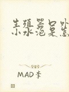 生殖器口外面起小水泡是怎么回事