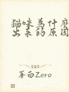 猫咪为什么尿不出来的原因