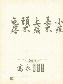 龟头上长小红疙瘩不痛不痒是怎么回事封面