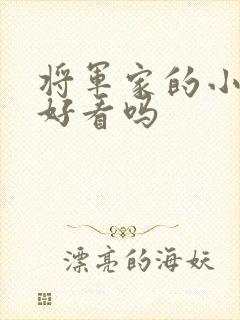 将军家的小娘子好看吗封面