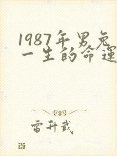 1987年男兔一生的命运封面