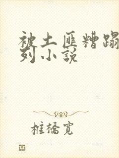 被土匪糟蹋h系列小说