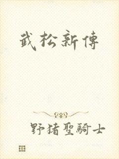 武松新传
