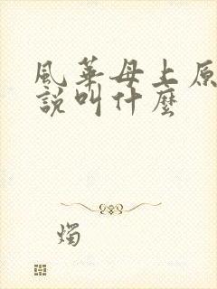 风华母上原著小说叫什么