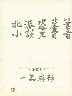 北派盗墓笔记 小说免费看