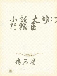 小说 大明:寒门辅臣