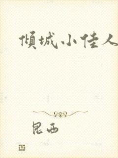 倾城小佳人封面