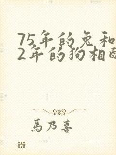 75年的兔和82年的狗相配吗