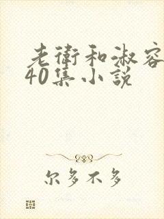 老卫和淑容1-40集小说