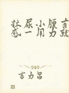 拉尿小腹有刺痛感一用力就痛