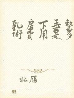 乳房下垂整形手术费用是多少