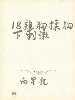 18亲胸揉胸膜下刺激