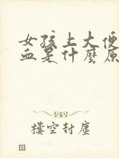 女孩上大便拉出血是什么原因封面