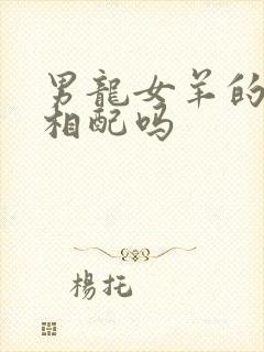 男龙女羊的婚姻相配吗