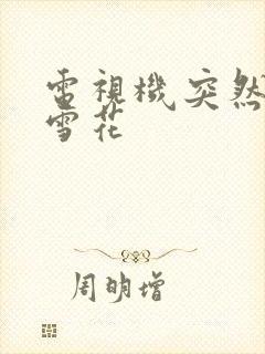 电视机突然全屏雪花