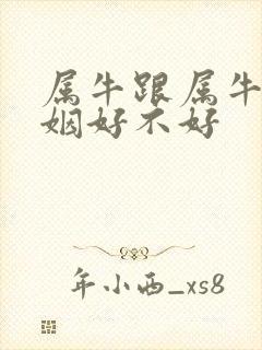 属牛跟属牛的婚姻好不好