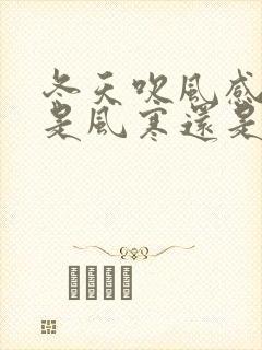 冬天吹风感冒了是风寒还是风热