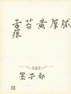 舌苔黄厚腻有齿痕