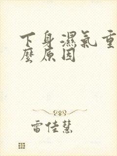 下身湿气重是什么原因