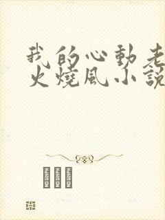 我的心动老板娘火烧风小说全本阅读全文