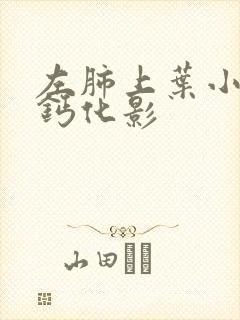 左肺上叶小结节钙化影