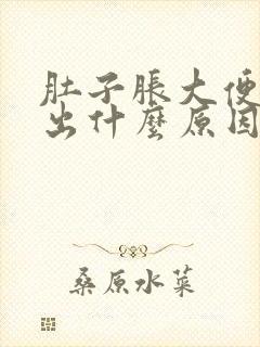 肚子胀大便排不出什么原因