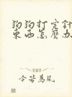 狗狗打完针不吃东西怎么办