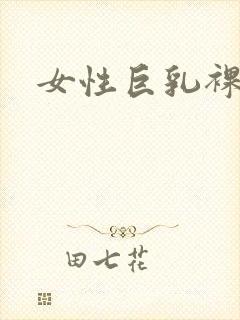 女性巨乳裸体封面