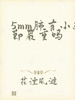 5mm肺有小结节严重吗