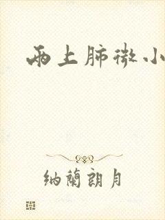 两上肺微小结节