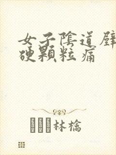 女子阴道壁上长硬颗粒痛