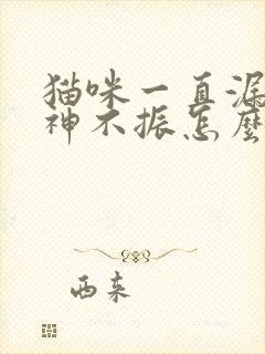 猫咪一直漏尿精神不振怎么办