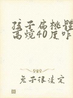 孩子扁桃体发炎高烧40度咋办