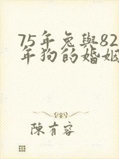 75年兔与82年狗的婚姻