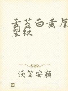 舌苔白黄厚腻有裂纹