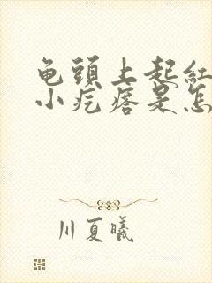 龟头上起红色的小疙瘩是怎么回事