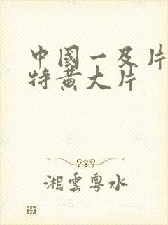 中国一及片黄片特黄大片封面