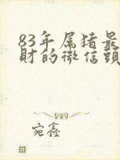 83年属猪最旺财的微信头像封面