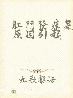 肛门发痒是什么原因引起封面