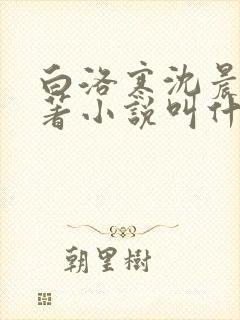 白洛寒沈晨曦原著小说叫什么名字