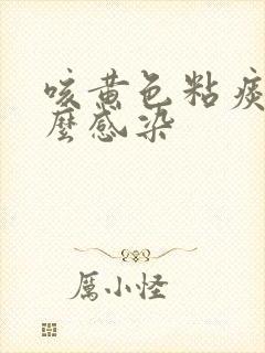 咳黄色粘痰是什么感染