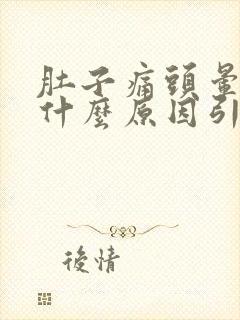 肚子痛头晕呕吐什么原因引起的