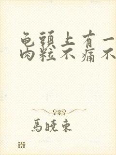 龟头上有一圈小肉粒不痛不痒