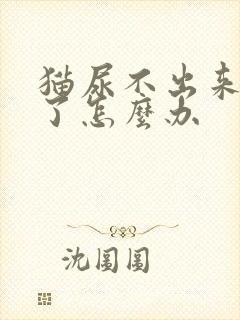 猫尿不出来还吐了怎么办