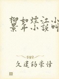 柳如烟江小雨陆景年小说叫什么