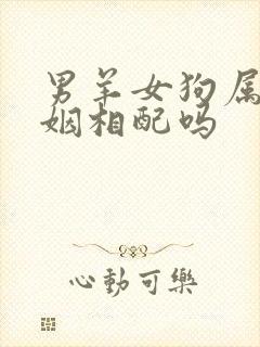 男羊女狗属相婚姻相配吗