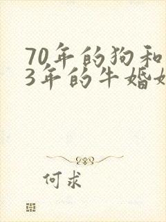 70年的狗和73年的牛婚姻般配吗