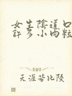 女生阴道口出现许多小肉粒