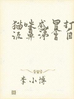 猫咪感冒打喷嚏流鼻涕会自己好吗