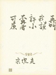 可否许我再少年原著小说叫什么名字